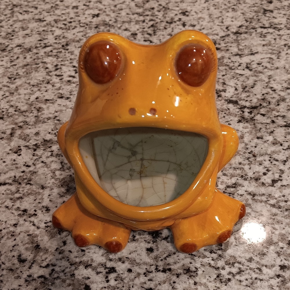 Vintage 70s frog dish scrubby holder